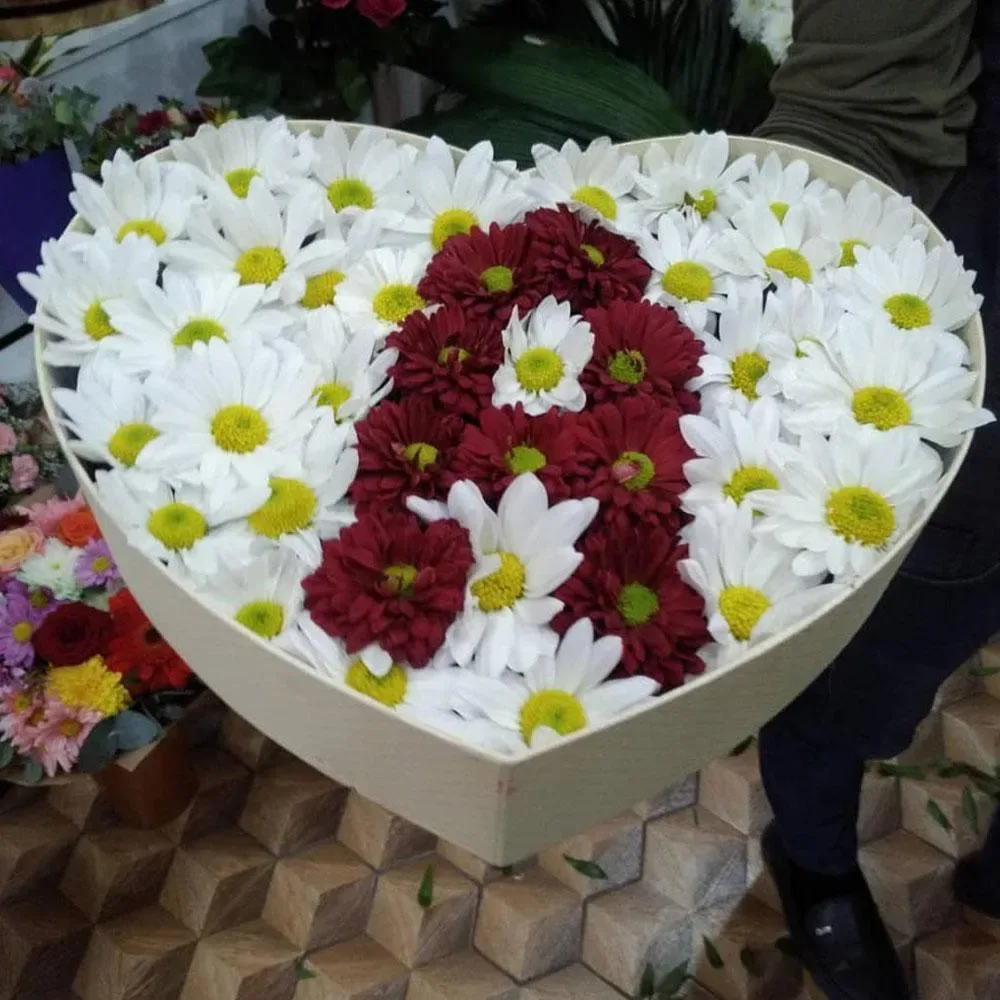 Qırmızı qızılgül 2493 ədədlik — şəkil 2