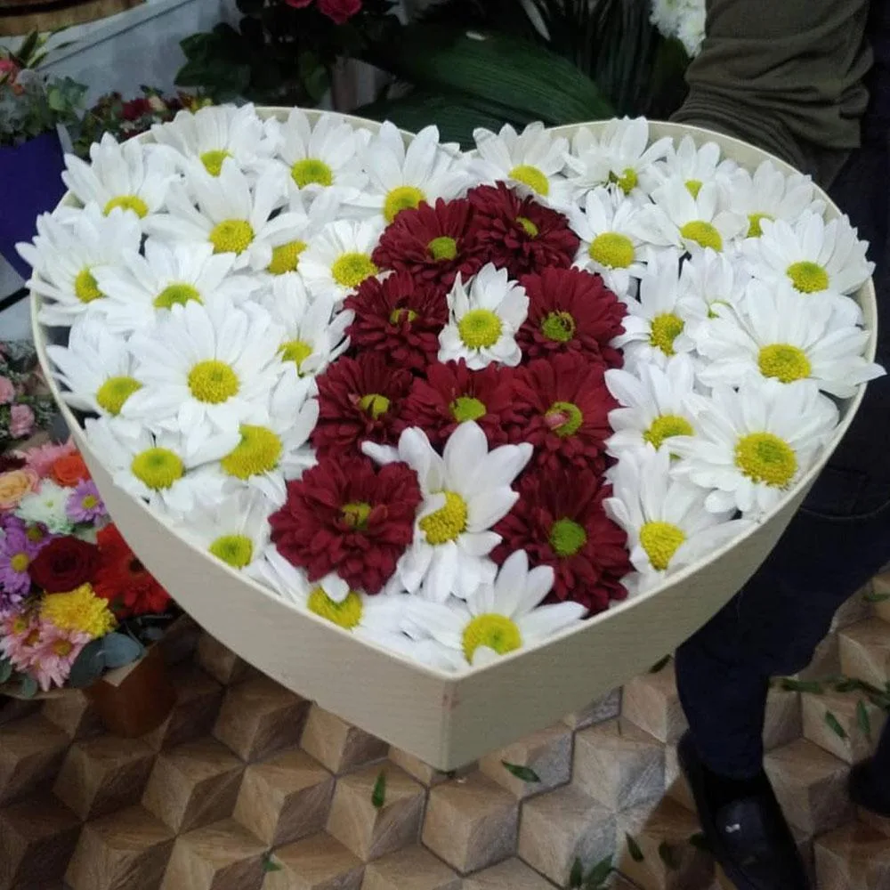 Qırmızı qızılgül 869 ədədlik — şəkil 2