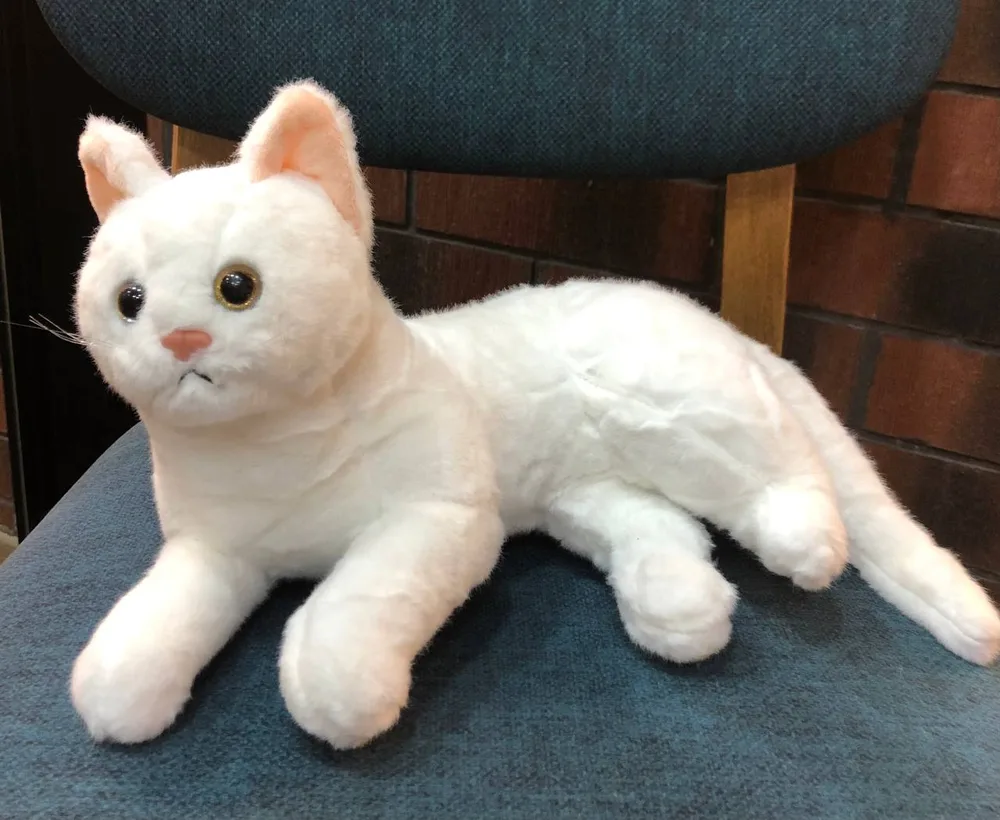 Yumşaq ayı oyuncağı 2376 sm