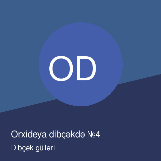 Orxideya dibçəkdə №4 — şəkil 2