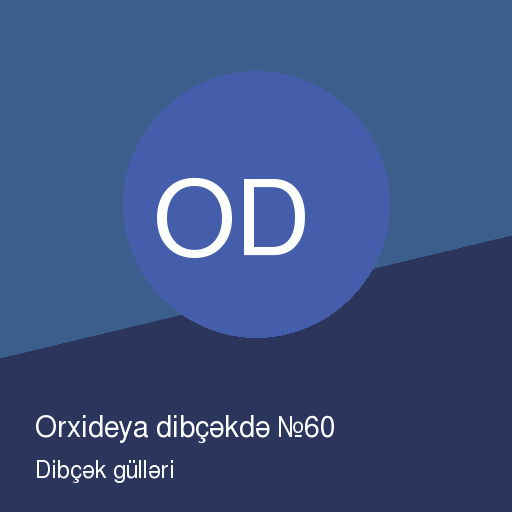 Orxideya dibçəkdə №60 — şəkil 2