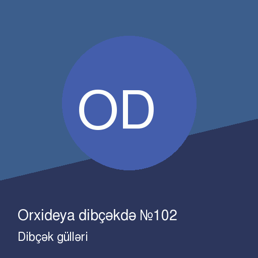 Orxideya dibçəkdə №102 — şəkil 2