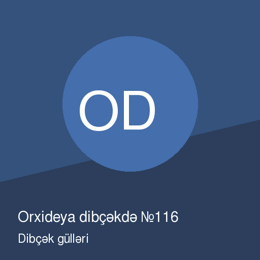 Orxideya dibçəkdə №116