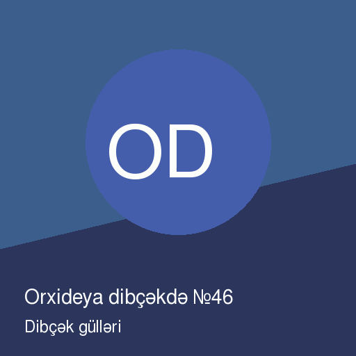 Orxideya dibçəkdə №46 — şəkil 2