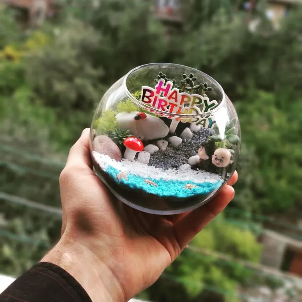 Kiçik sevinc - Terrarium