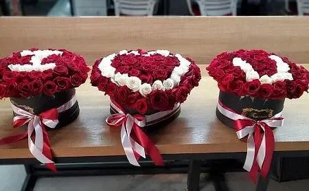 Ürək Simfoniyası