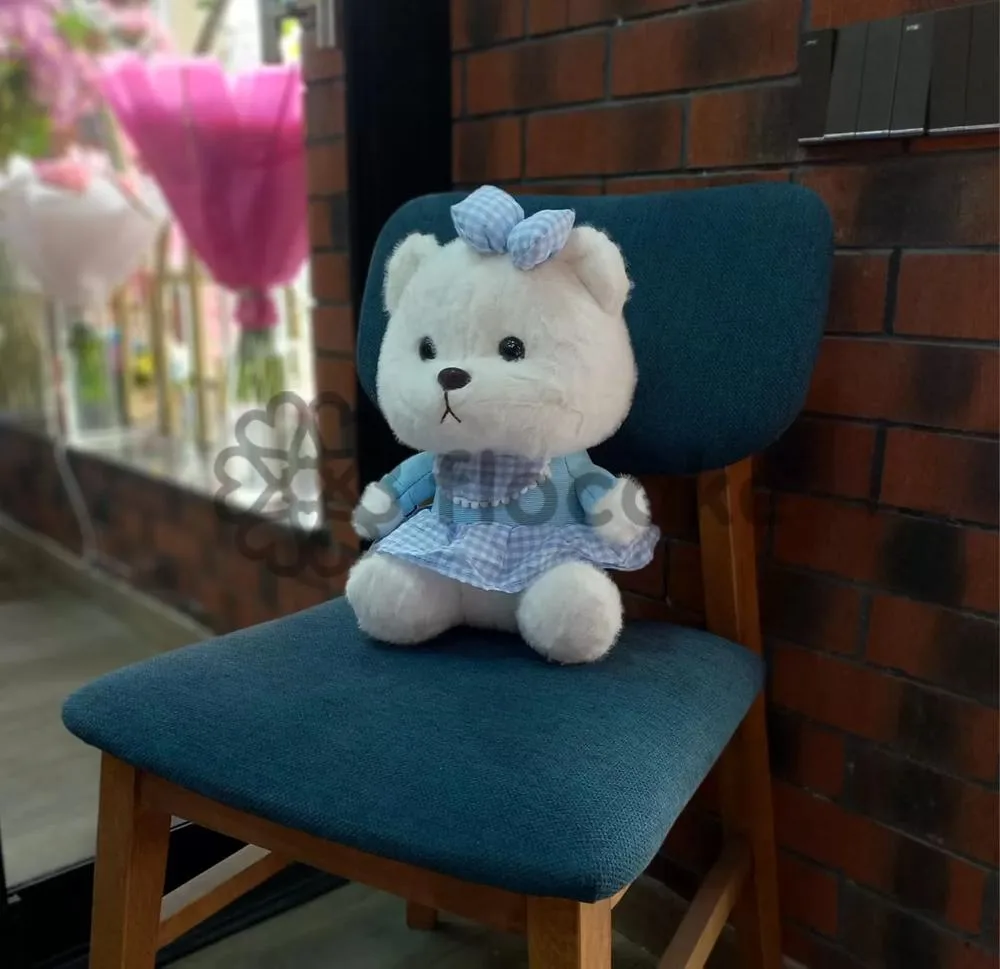 Teddy Bear