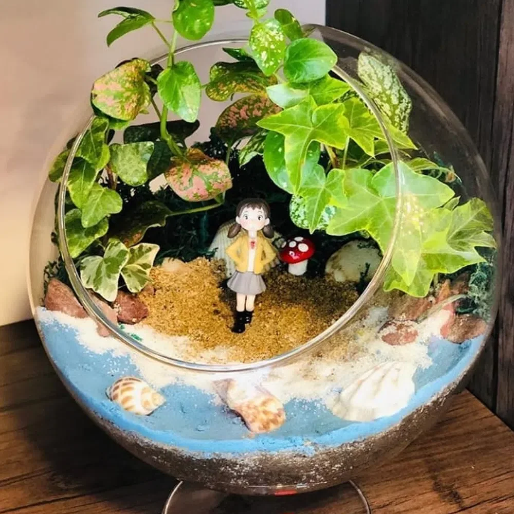 Sevinc- Terrarium