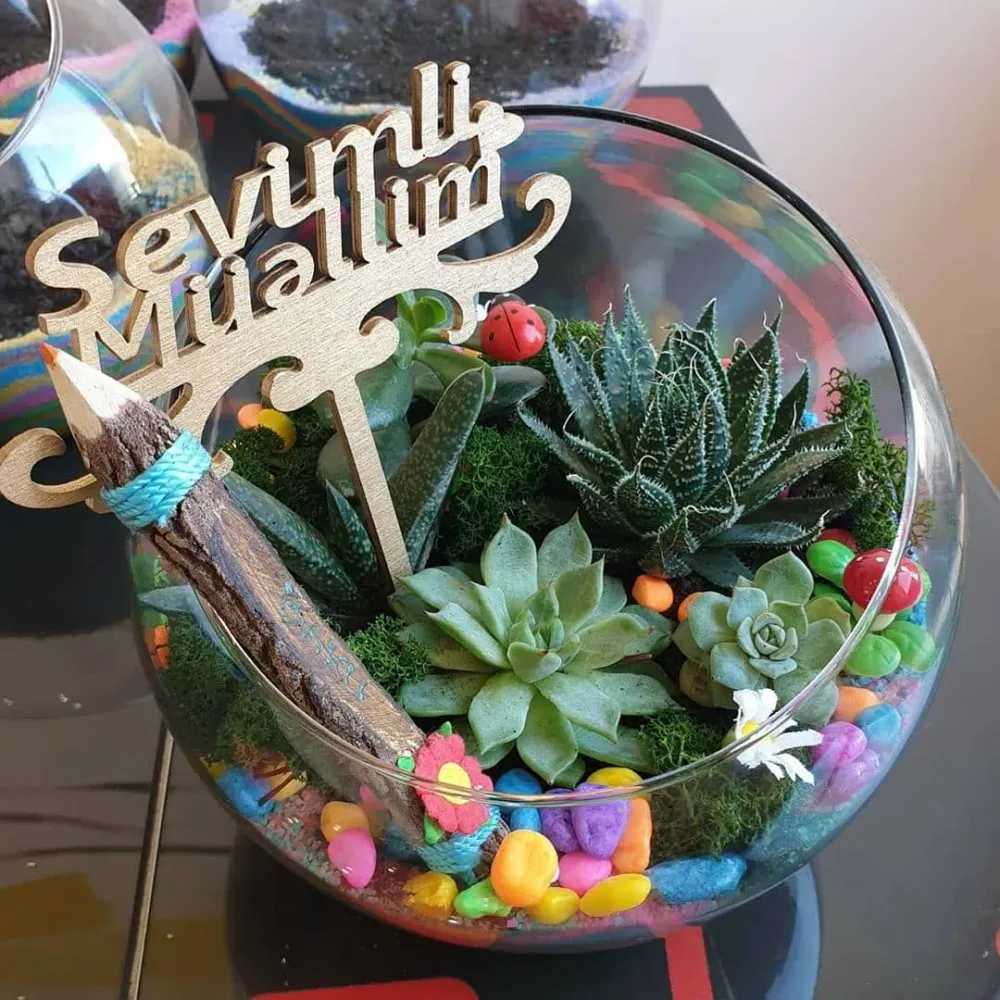 Sevgi hissləri - Terrarium