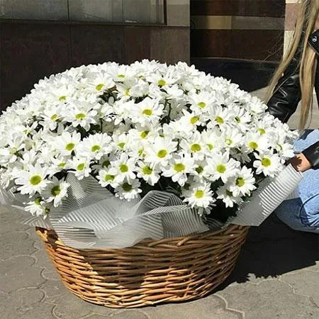 Sevgi xatirəsi - Səbətdə güllər