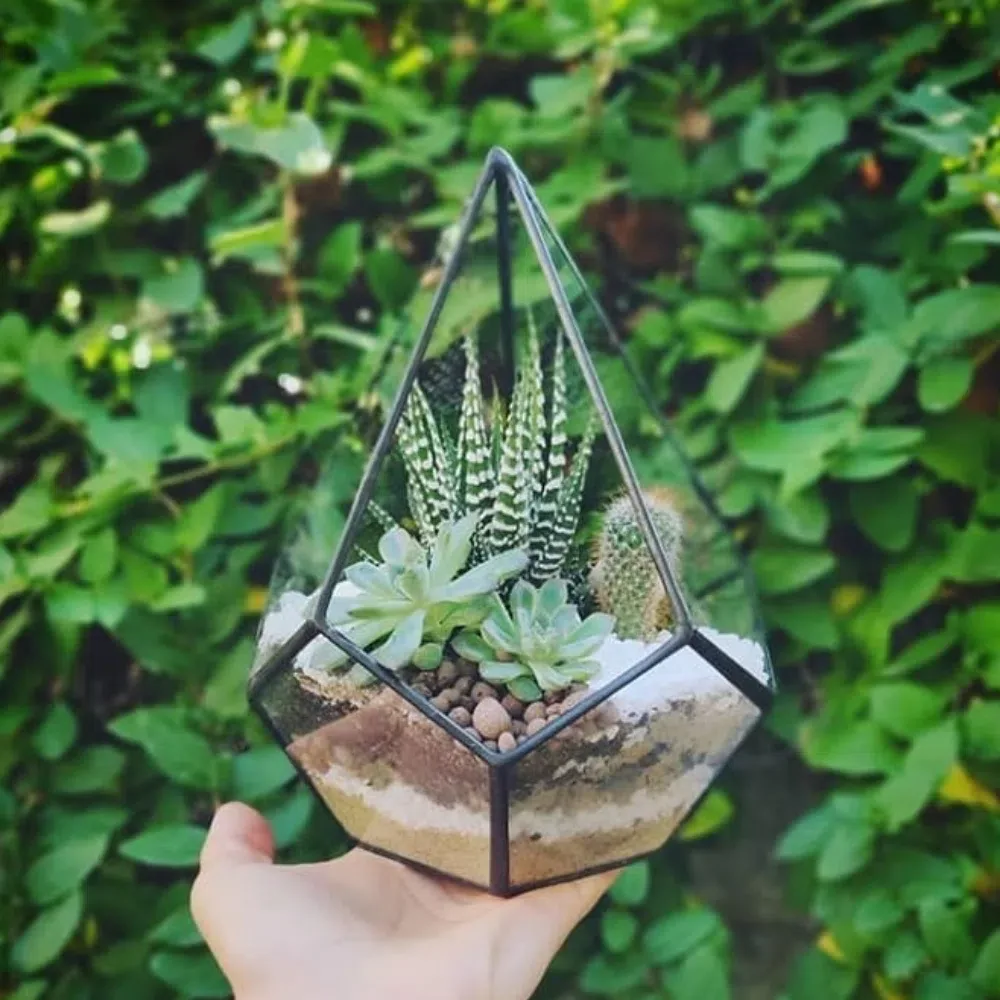 Sevimli - Terrarium