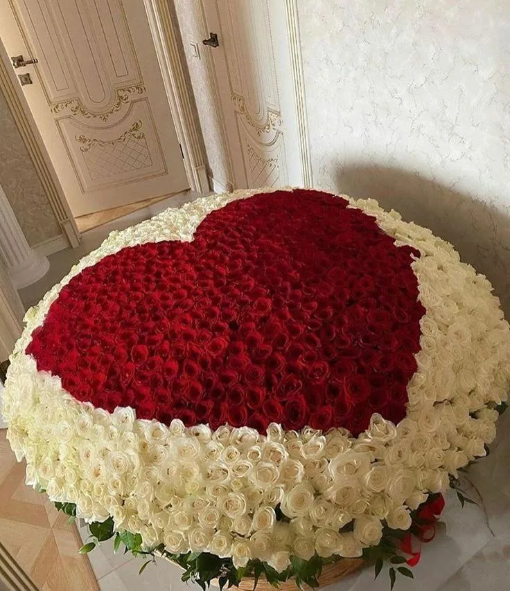 Gözəlliyin Səbəti