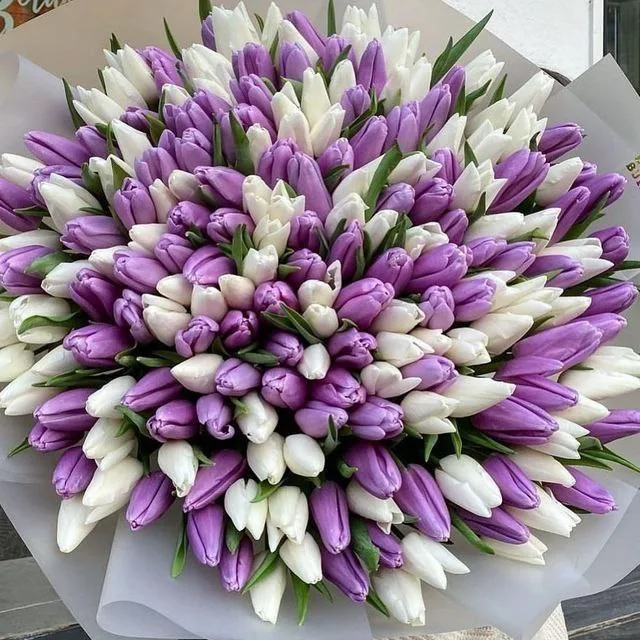 Ümid Gülləri - Gül Buketi